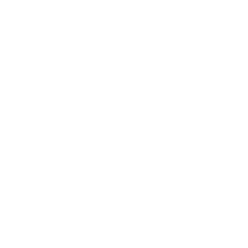 Interprétariat Mandarin 2MDU20